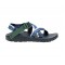 Chaco Z/1 Classic Landscapes USA Sandal Eastern Mountains Men