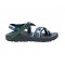 Chaco Z/2 Classic Landscapes USA Sandal Eastern Mountains Men