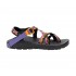 Chaco Z/2 Classic Landscapes USA Sandal Western Deserts Men